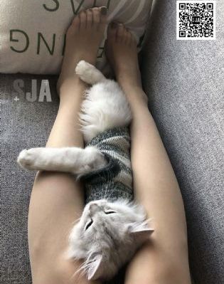 国产男女在线_迅雷下载电影